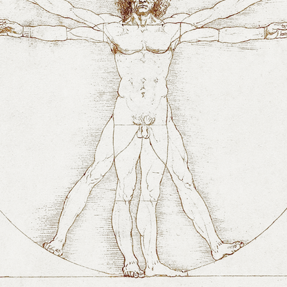 Vitruvian Man (1492)