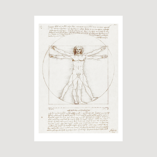 Vitruvian Man (1492)