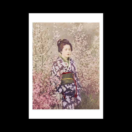 Beautiful photomechanical prints Geisha and