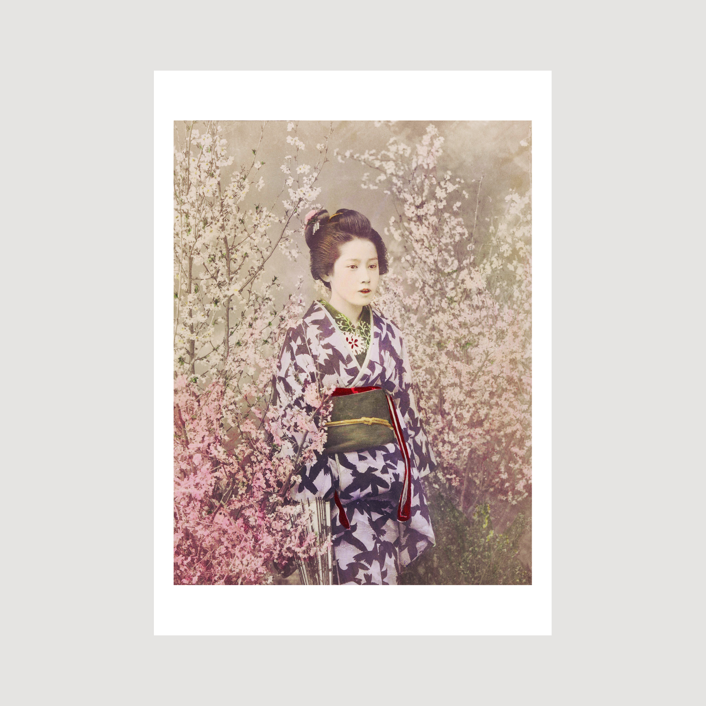 Beautiful photomechanical prints Geisha and