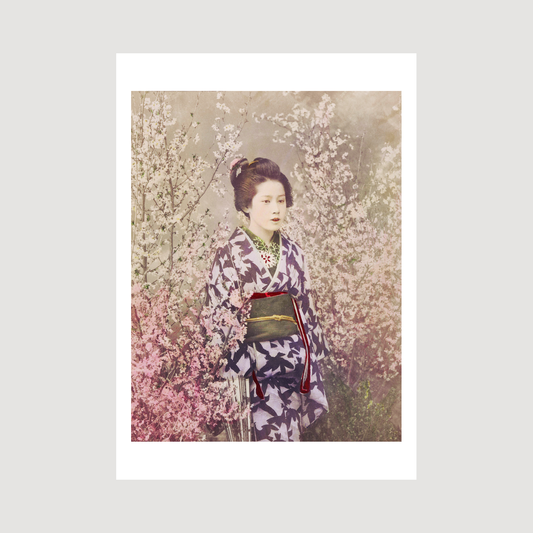 Beautiful photomechanical prints Geisha and