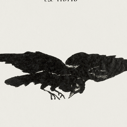 The Raven (Le Corbeau), (1875)